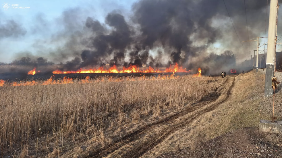 За добу на Полтавщині зафіксували більше 40 пожеж