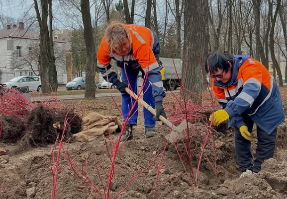 У Полтаві на бульварі Котляревського з’явилась перша жива огорожа з дерену