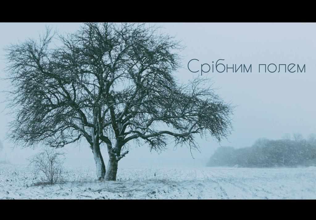 Поетична короткометражка про полтавського фотографа підкорила фестиваль у Миколаєві