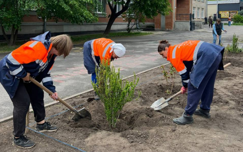 Майже 800 однорічних квітів і понад 900 саджанців: у Полтаві триває процес озеленення
