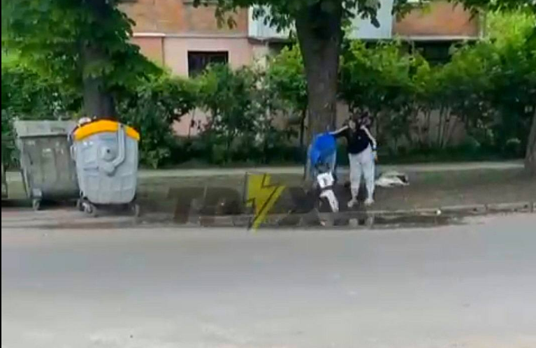 Висипала сміття біля баків: інспекція з благоустрою Полтави склала протокол на батька винуватиці