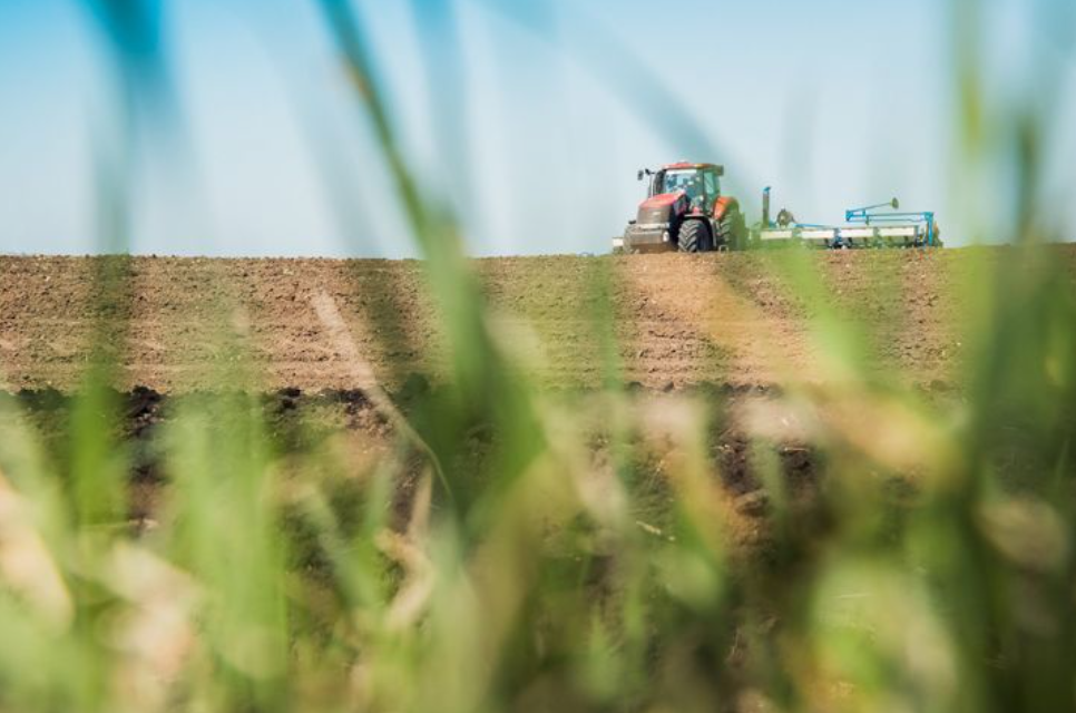 У Полтавській області завершують посівну кампанію на понад 1,3 млн га