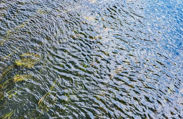 У Кременчуці у водоймі виявили тіло жінки, що зникла напередодні