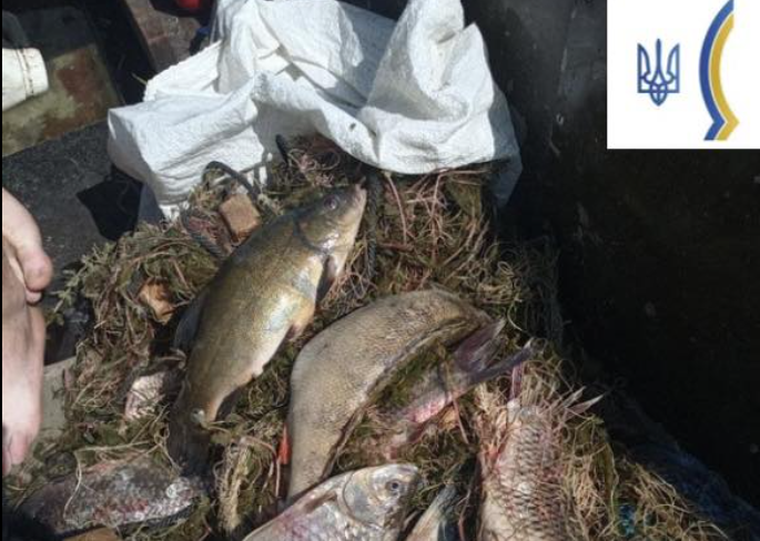 Полтавський патруль вилучив човен і сітку у браконьєра на водосховищі