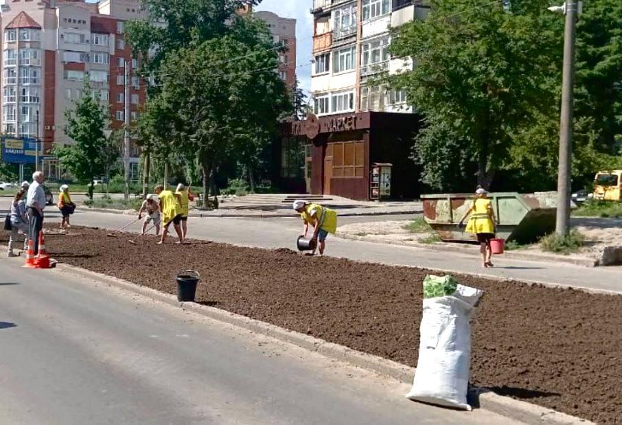 Біля колишнього кінотеатру Котляревського у Полтаві висадять мавританський газон