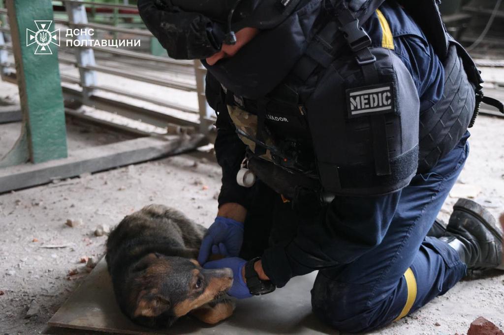 Нічна атака на Полтавщину: що відомо про наслідки та руйнування