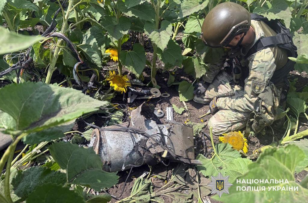 Вибухотехніки на Полтавщині знешкодили ворожий дрон, який впав у полі