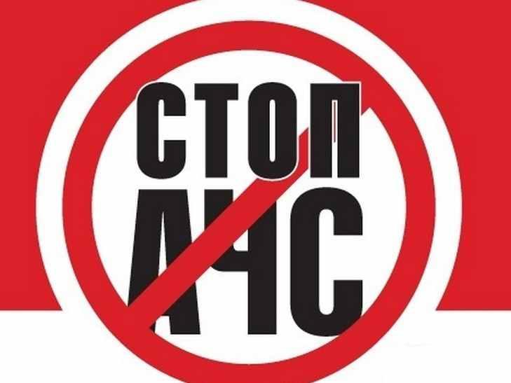 На Полтавщині знову виявили африканську чуму свиней