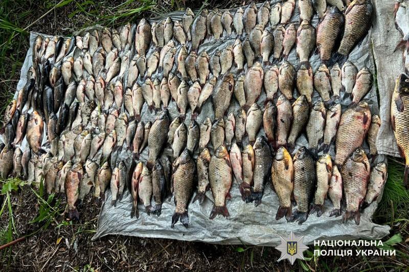 На Полтавщині чоловік наловив риби на понад 370 тисяч гривень