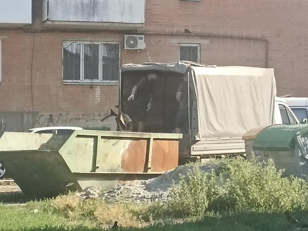 Полтава потопає у стихійних сміттєзвалищах: КАТП-1628 закликає дотримуватися правил утилізації
