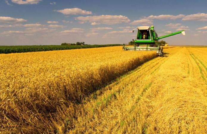 Аграрії на Полтавщині зібрали 1,5 млн тонн зернових культур