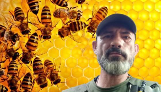 “Бджоли – це моє життя. Але й країна – це теж моя справа”: інтерв’ю з пасічником і військовим Олександром Колісником