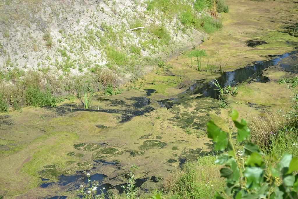 Під час очищення з річки на Полтавщині витягували навіть міни