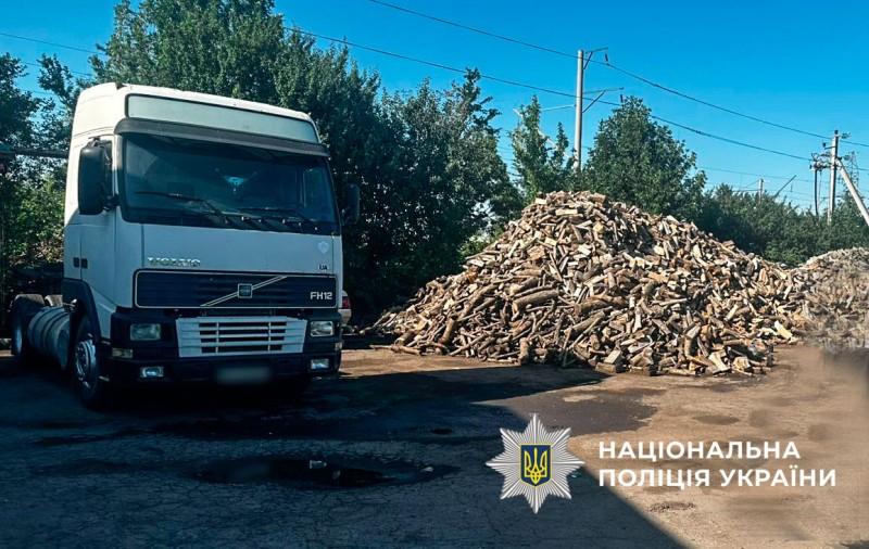 На Полтавщині викрили групу, що вирубила ліси на понад 4 мільйони гривень