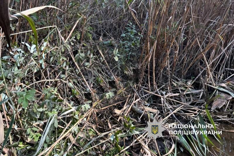 На Лохвиччині у водоймі знайшли тіло чоловіка