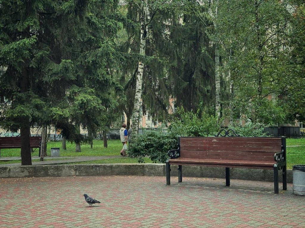 Яку погоду полтавцям варто очікувати у перші дні жовтня?