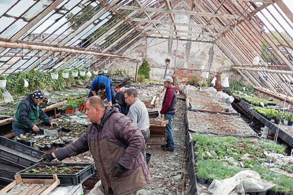 У Полтаві знищено тисячі квітів, які мали прикрасити обласний центр у 2026 році