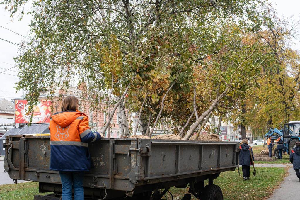 Горобини, липи й каштани: у Полтаві триває осіння висадка дерев