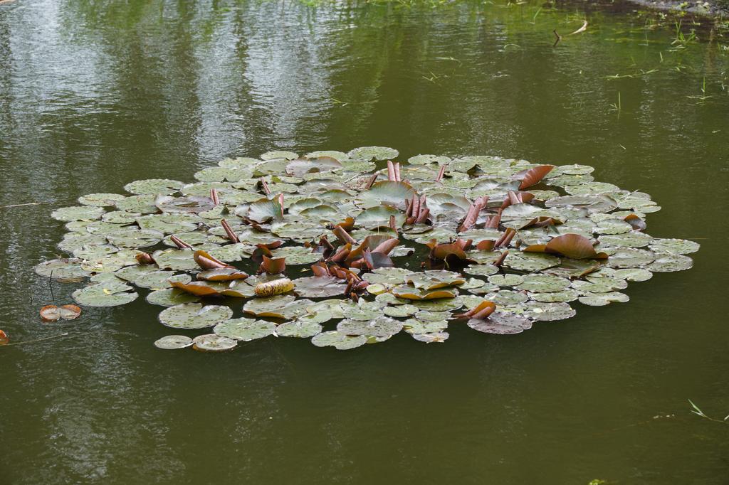 Дощі і пориви вітру: якою буде погода на Полтавщині 25-27 жовтня
