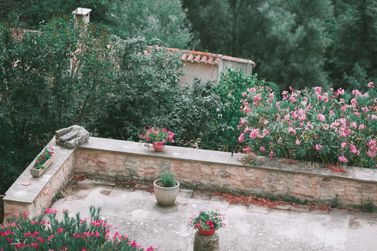 15 натуральних добрив для домашніх вазонів та балконних квітів