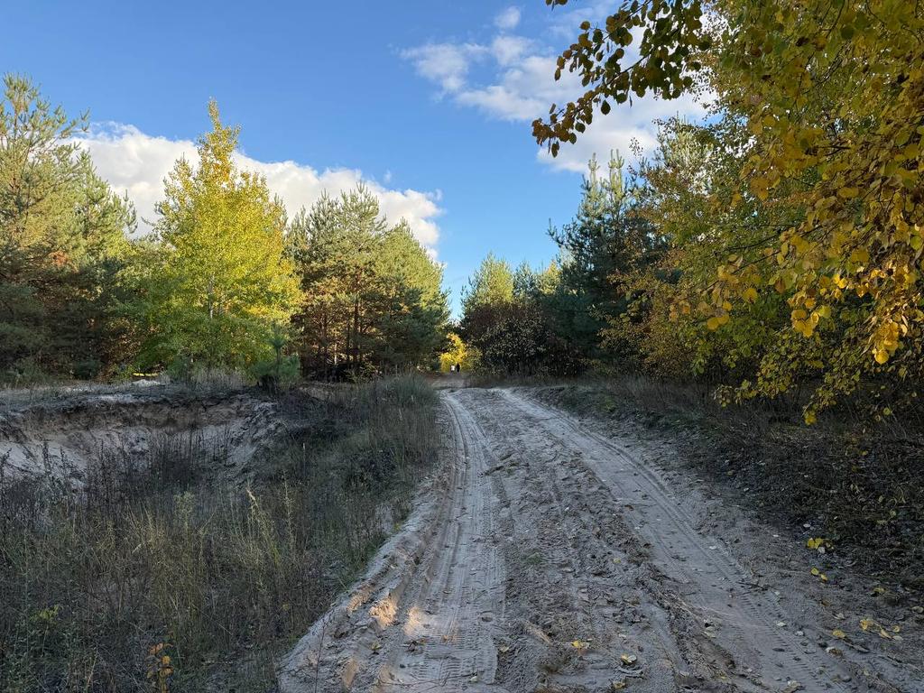 На Полтавщині поліція розшукала неповнолітнього, який заблукав у лісі  