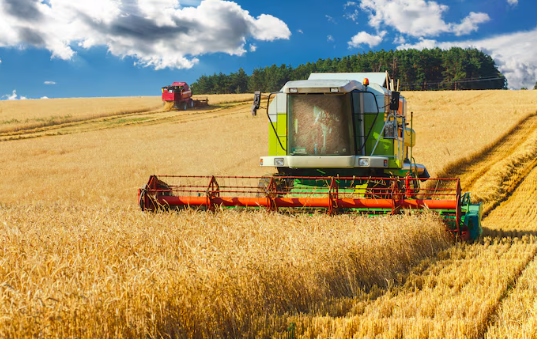 Аграрії Полтавщини намолотили понад 1,4 млн тонн кукурудзи