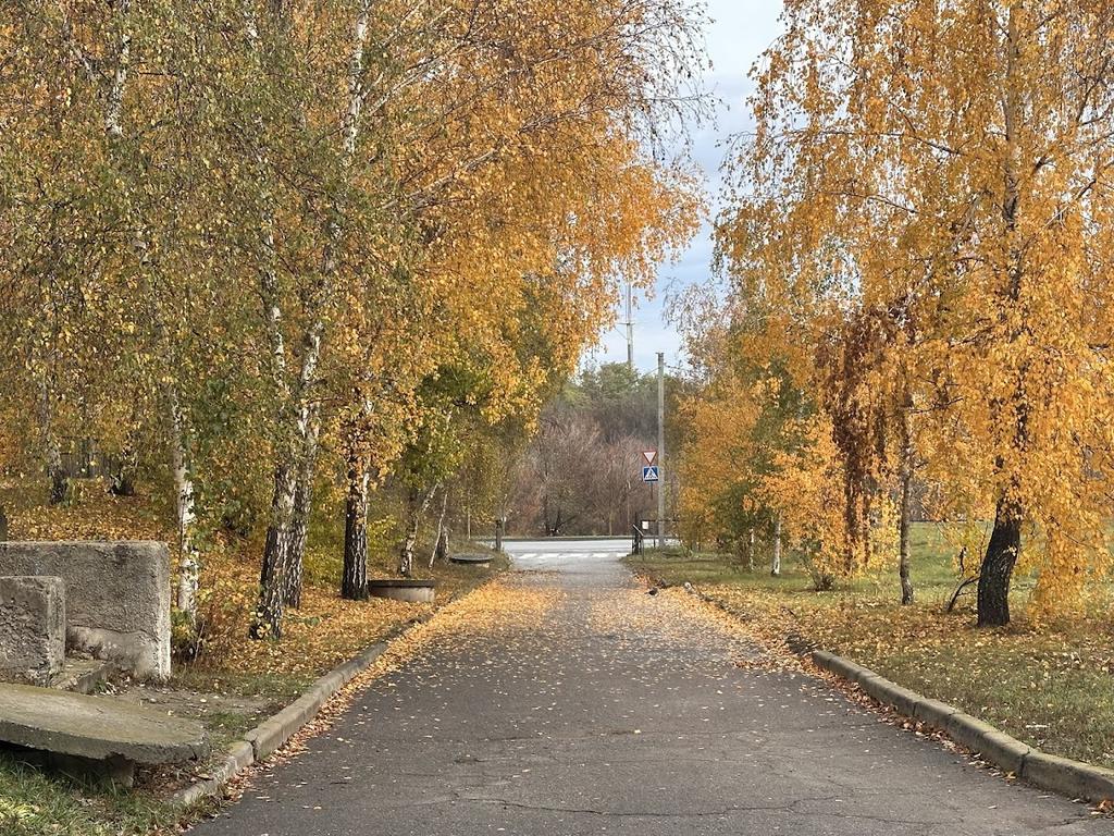 Дощі та хмарність: якою буде погода на Полтавщині цими вихідними?