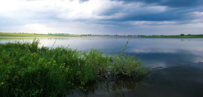 У Миргороді в місцевій водоймі виявили тіло жінки
