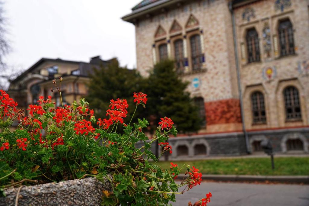 Туман і дощі: якою буде погода на Полтавщині 14-18 листопада