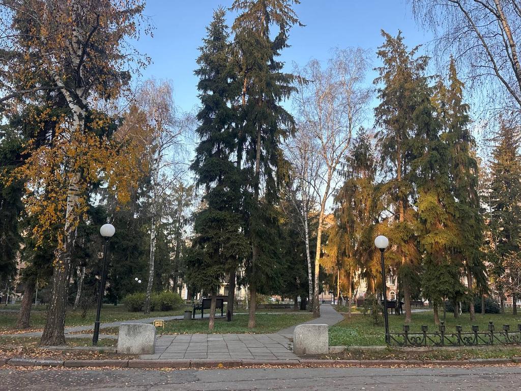 Якою буде погода на Полтавщині наприкінці листопада