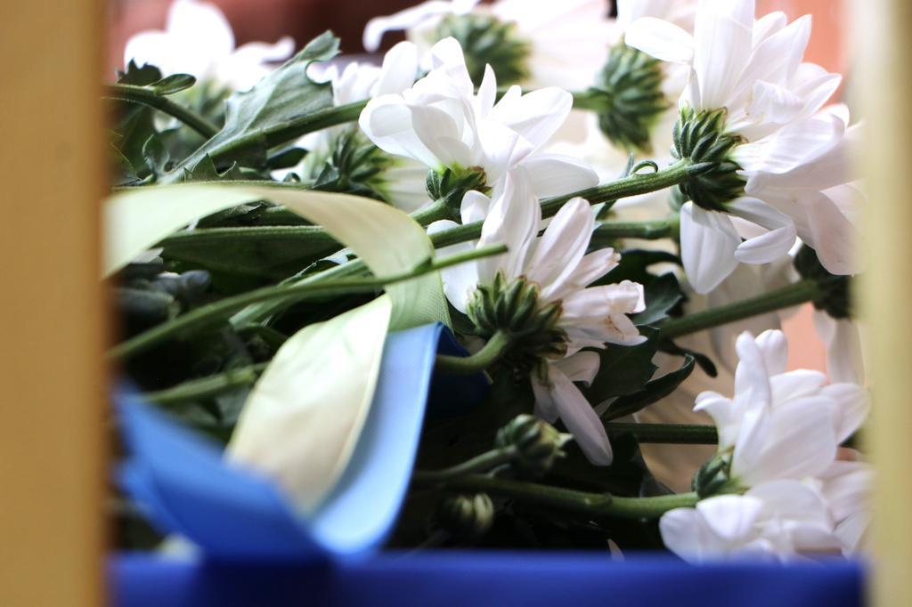 У Полтаві відкрили дві меморіальні дошки загиблим Захисникам 