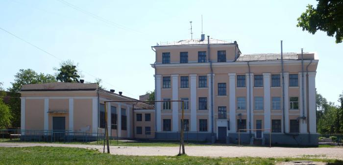 Полтавський ліцей №6 може стати гімназією: батьки учнів виступають проти