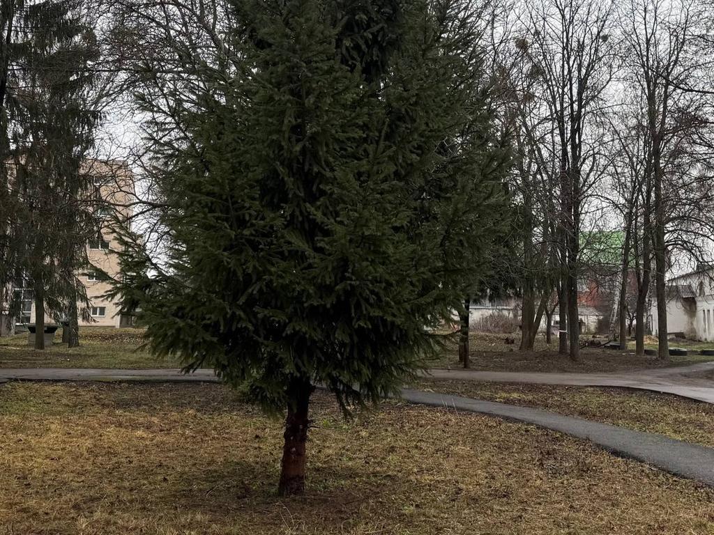 Біля будинку генерал-губернатора в центрі Полтави з’явиться новий сквер