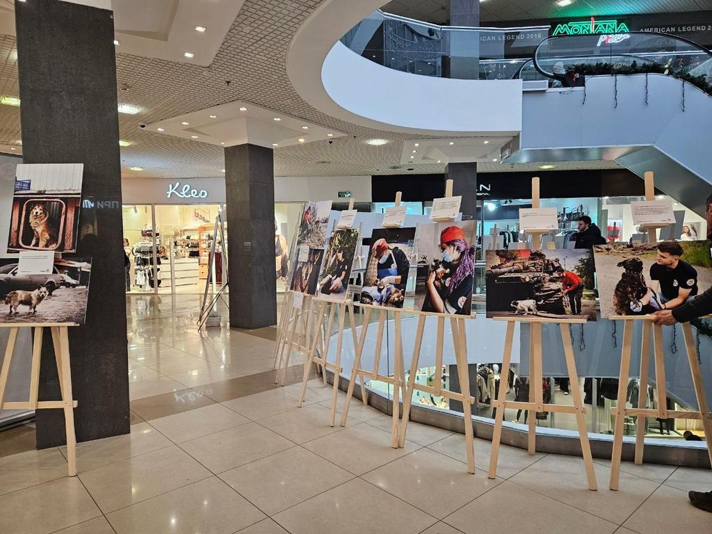 У Полтаві відкрили фотовиставку "Чотири лапи – тисячі історій"