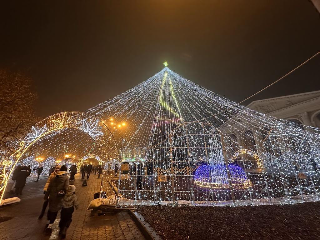 Які ялинки встановили у різних районах Полтави. ФОТО