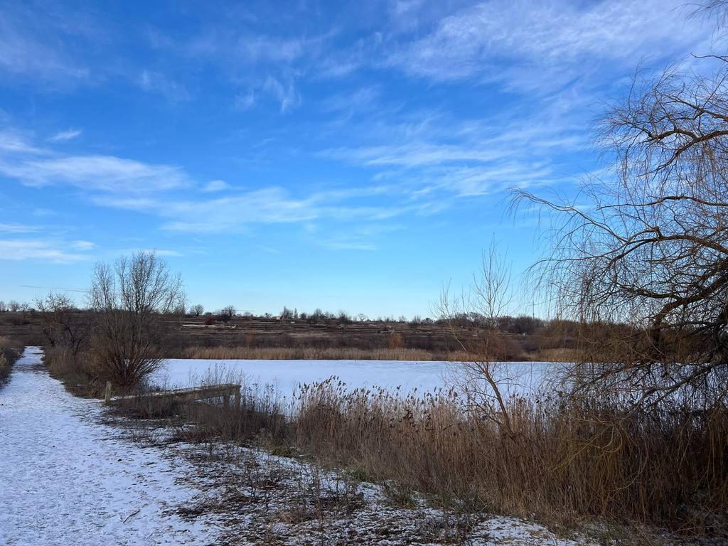 Морозна субота на Полтавщині: синоптики попереджають про ожеледицю