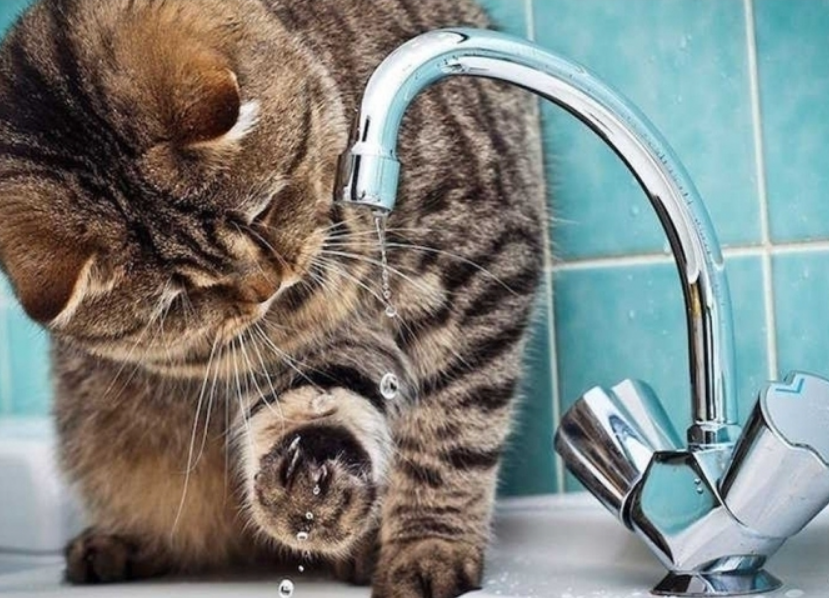 Через аварію на мережі мешканці кількох вулиць Полтави залишилися без води