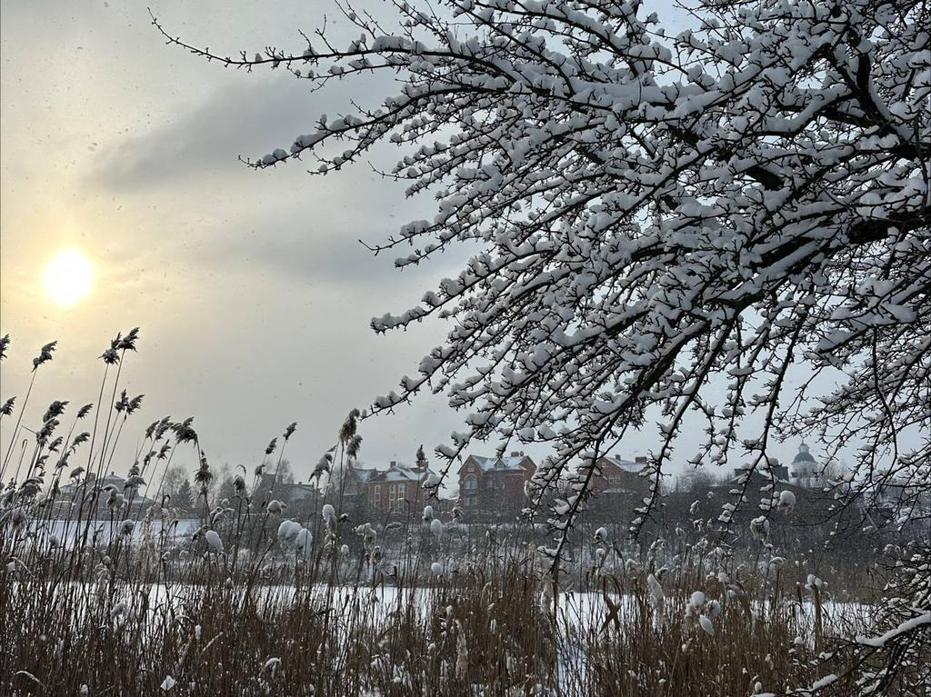 Мокрий сніг, дощ і ожеледиця: прогноз погоди на Полтавщині до кінця тижня