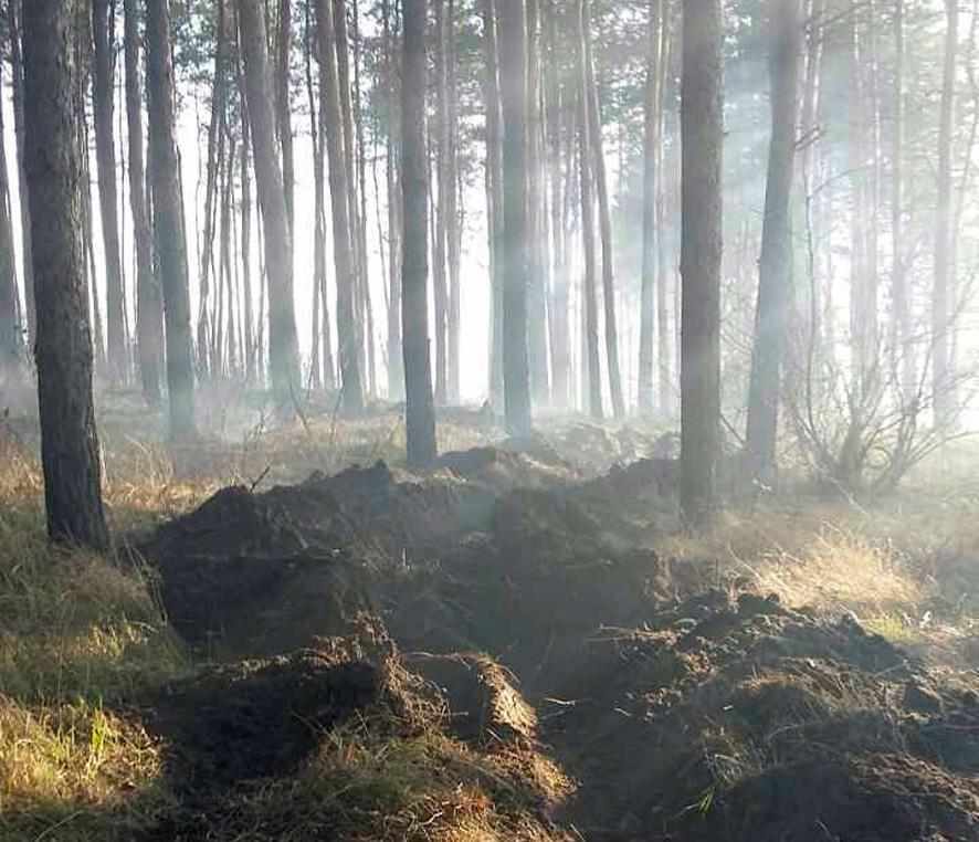 За минулу добу на території області сталися три пожежі в лісах 