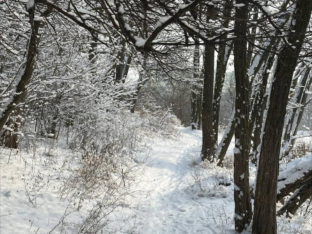 Потепління нетривале: на Україну знову сунуть морози