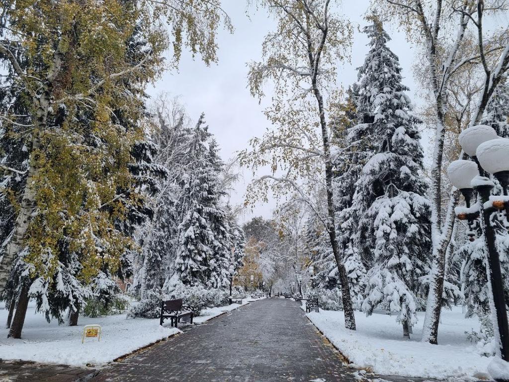 Сніг, ожеледь та мороз: якою буде погода на Полтавщині цими вихідними