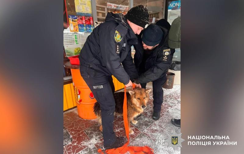 На Полтавщині поліцейські врятували собаку з відкритого люка з крижаною водою