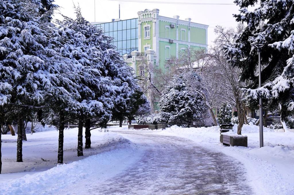 Сніг і ожеледиця: комунальники розчищають Полтаву після негоди