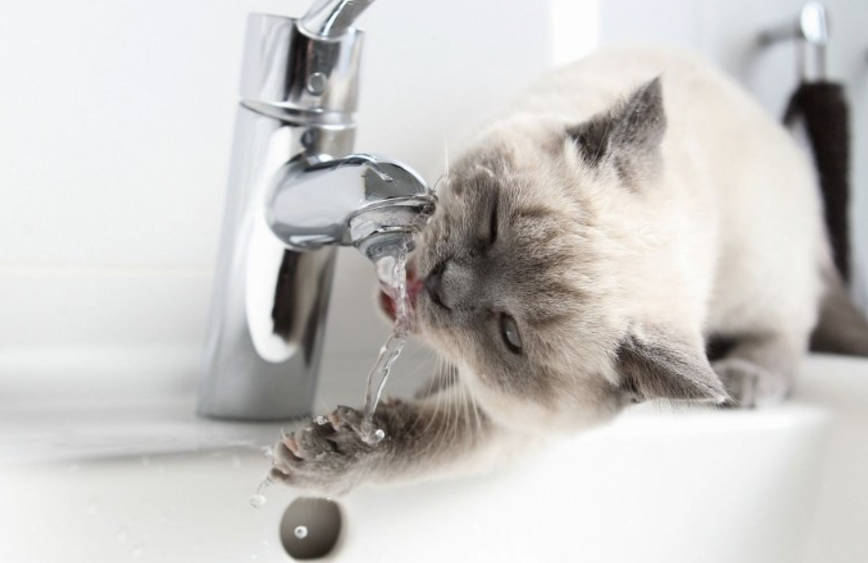 Аварія на водогоні: без води опинились одразу кілька вулиць Полтави