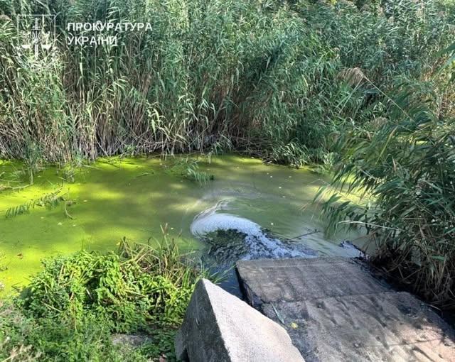 Справу забруденння річки Орчик передали до суду