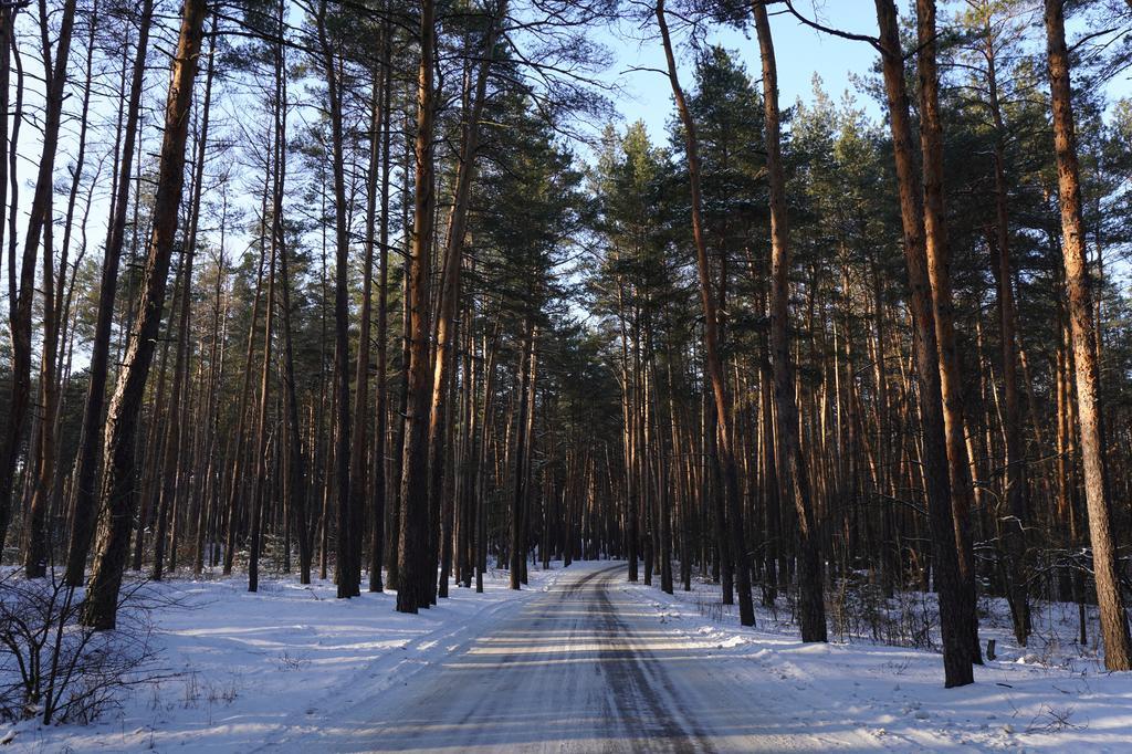 На Полтавщині поступово теплішатиме: синоптики прогнозують до +10°