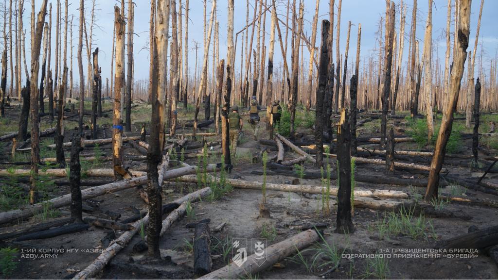 Бригада «Буревій» у “лісі чудес”