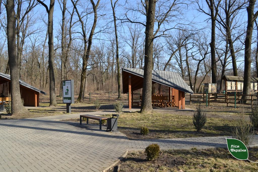 Де можна розводити вогонь? Лісівники нагадали правила відпочинку в лісах Полтавщини