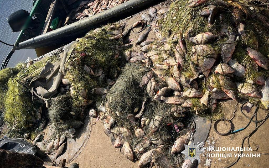 500 кг риби на 2 млн грн збитків: на Полтавщині викрили браконьєра