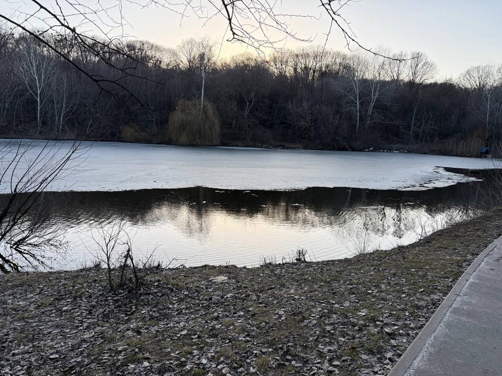 Туман і заморозки: якою буде погода на Полтавщині цими вихідними